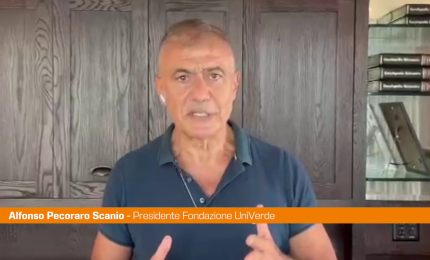 Vesuvio, Pecoraro Scanio "Danni gravi, punire responsabili dei roghi"