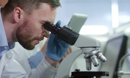 Nel mondo oltre 300 milioni di individui soffrono di epatite cronica