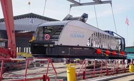 Intelligenza artificiale e cloud per salvare gli oceani