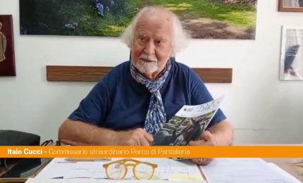 Pantelleria, al via ad ottobre il festival dedicato all'asino pantesco