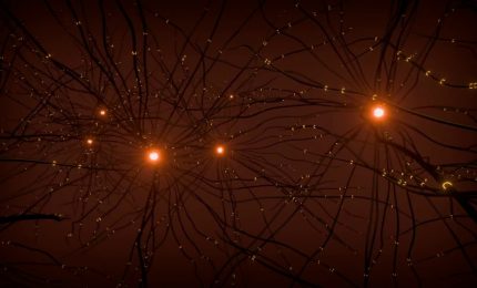 Nuove terapie pi&ugrave; efficaci contro il Parkinson