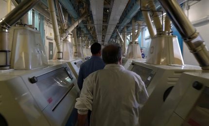 Divella, lo storico molino di Noicattaro punta sulla tecnologia