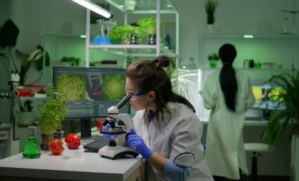 "Agritech Innovation", il futuro del cibo si studia in Toscana