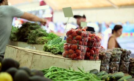 Gli italiani spendono meno per il cibo, agricoltura in crisi