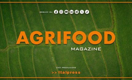 Agrifood Magazine - 3/9/2025