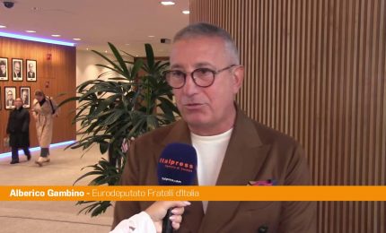 Gambino (FdI) "Occidente compatto, fiduciosi su tavolo Putin-Zelensky"