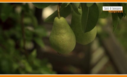 Sorsi di Benessere - Un gustoso frullato di pere