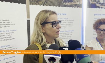 Puglia, Triggiani "Regione siccitosa, ma gestione acqua virtuosa"