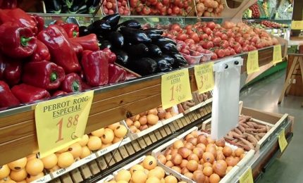 Ad agosto frena l'inflazione ma cresce il carrello della spesa