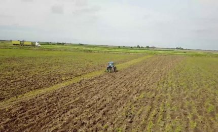 L'Italia rafforza i partenariati agricoli