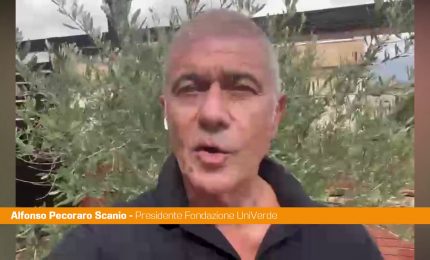 Pecoraro "Governo e Parlamento diano priorit&agrave; a giovani e innovazione"