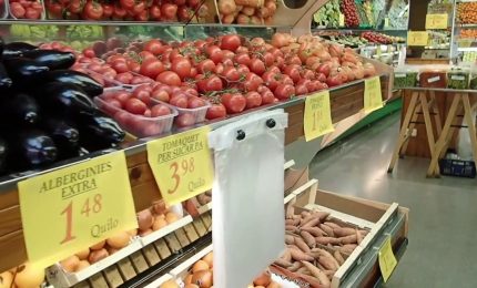 Vendite al dettaglio in calo a luglio