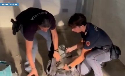 Nel box 70 chili di droga, 30enne arrestato a Roma