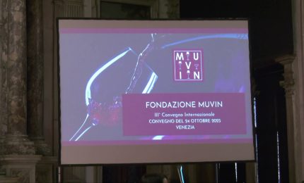 Museo del Vino di Verona, passi avanti nel progetto