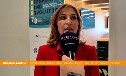 Tardino "L'eolico offshore &egrave; una grande opportunit&agrave; di crescita"