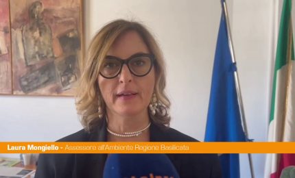 Basilicata, primo studio di telemetria satellitare sulla cicogna nera