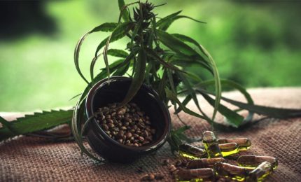 Il cannabidiolo riduce i sintomi di una forma di epilessia
