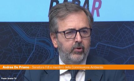 Mobilit&agrave;, De Priamo "Serve approccio pragmatico alla transizione"