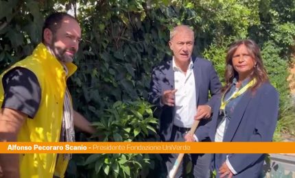Pecoraro Scanio "La Festa degli alberi rilancia l'amore per la natura"