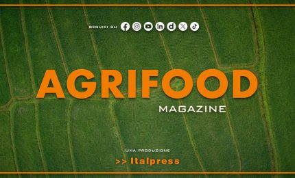Agrifood Magazine - 22/10/2025