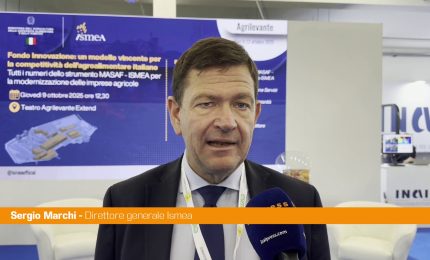 Marchi "Fondo Innovazione per l'Agricoltura di particolare importanza"