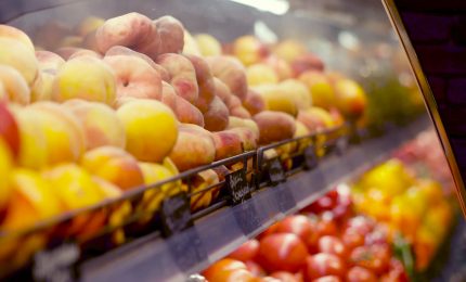 Agricoltura e industria alimentare trainano la ripresa italiana