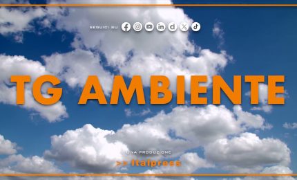 Tg Ambiente - 26/10/2025