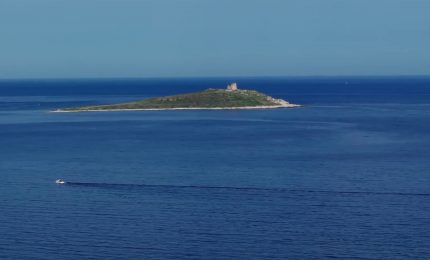 &ldquo;NauticinBlu&rdquo;, riparte il progetto di conservazione marina di Marevivo
