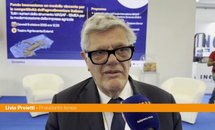 Ismea, Proietti "Puntiamo a riqualificazione imprese agricole del Sud"