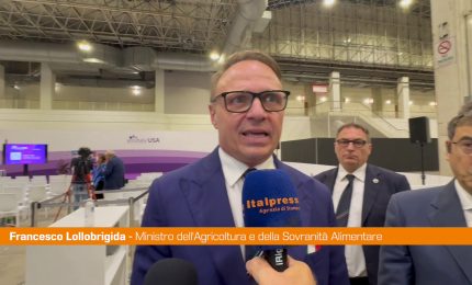 Vinitaly.USA, Lollobrigida "Spazi di crescita enormi"