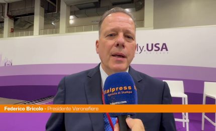 Vinitaly.USA, Bricolo "Mercato di grande interesse, serve promozione"