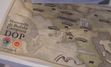 Mozzarella di bufala al top sul web, simbolo benessere e felicit&agrave;