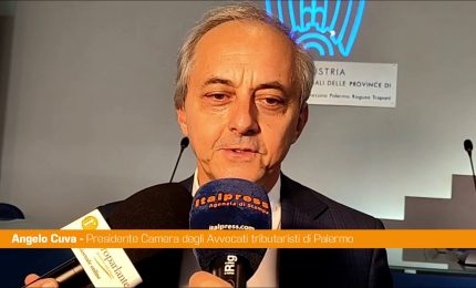 Modello 231, Cuva "Presidio di legalit&agrave; nel mondo d'impresa"