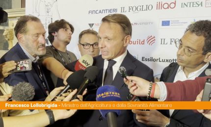 Governo, Lollobrigida "I risultati ci stanno premiando"
