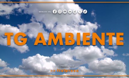 Tg Ambiente - 19/10/2025