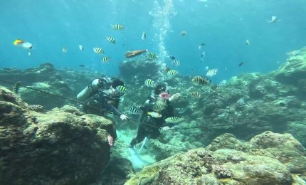 Cresce in Italia il mercato dei droni marini e subacquei