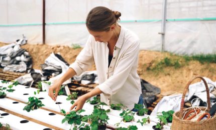 Agricoltura, dall&rsquo;Ue strategia per ricambio generazionale