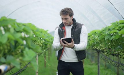 Agricoltura Made in Italy, tra primati e fragilità