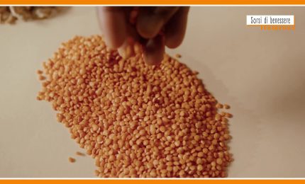 Sorsi di Benessere - Una ricetta gustosa a base di lenticchie e castagne