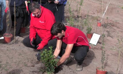 TIM pianta 400 nuovi alberi a Roma per contribuire al miglioramento urbano