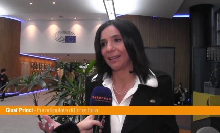 Princi "Con il pacchetto di allargamento Europa pi&ugrave; forte e competitiva"