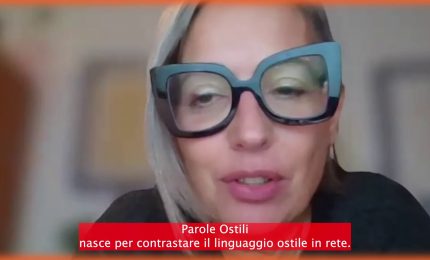 Quando una parola &egrave; ostile?