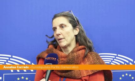 Ue, Corrado (Pd) "Sul regolamento deforestazione il Ppe spacca gli accordi"