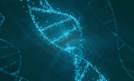 Cardiomiopatie, identificato gene finora sconosciuto