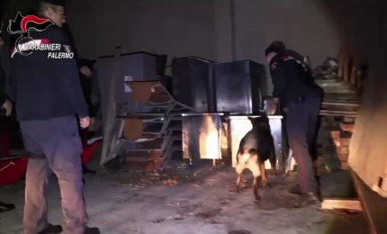 Mafia, tre arresti per l'omicidio di Giuseppe Incontrera