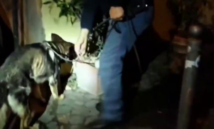 Stretta su movida a Roma, sanzioni a tappeto e chiuso un locale a Trastevere