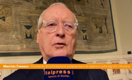 Casasco "Equilibrare la lotta all'evasione fiscale e la tutela del contribuente"