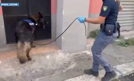 16enne arrestato a Catania, in cantina nascondeva droga e fucile a canne mozze