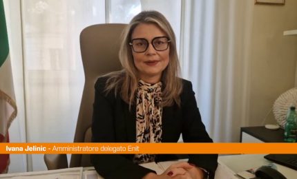 Jelinic "L'aeroporto di Palermo cardine per lo sviluppo della Sicilia"