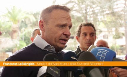 Lollobrigida "Da governo 50 mln a terzo settore per garantire aiuti alimentari"